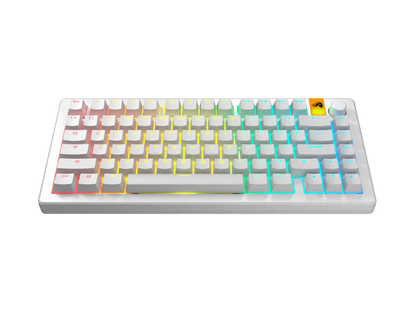 GPBT Backlit Keycaps