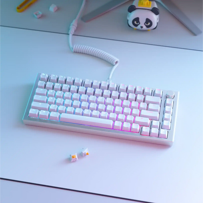 ABS Doubleshot Keycaps V2
