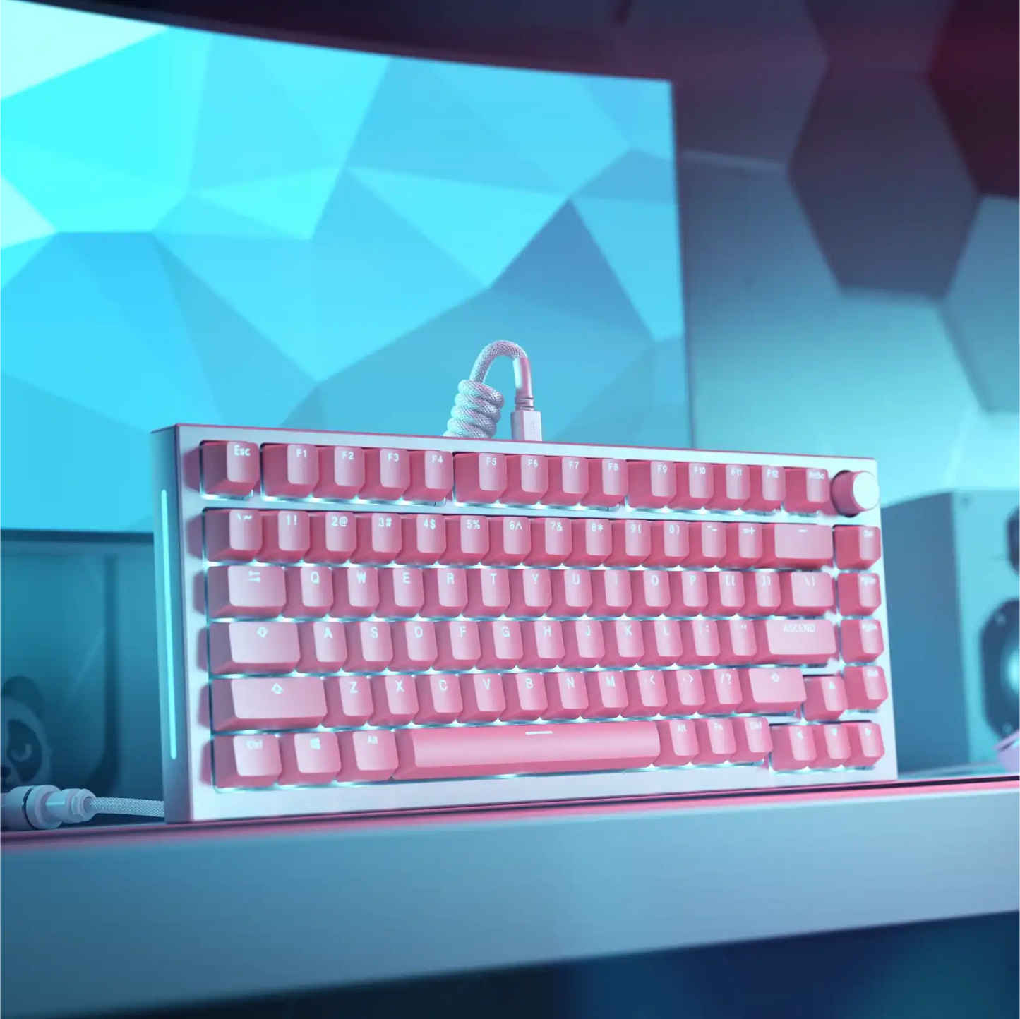 ABS Doubleshot Keycaps V2