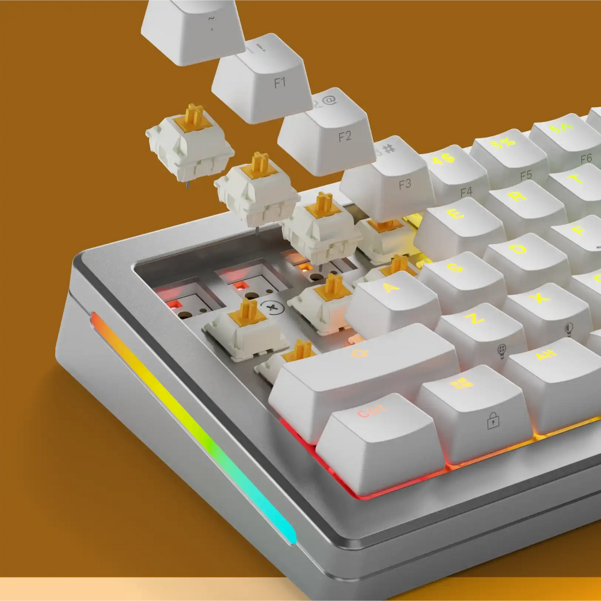 Panda MX Switches