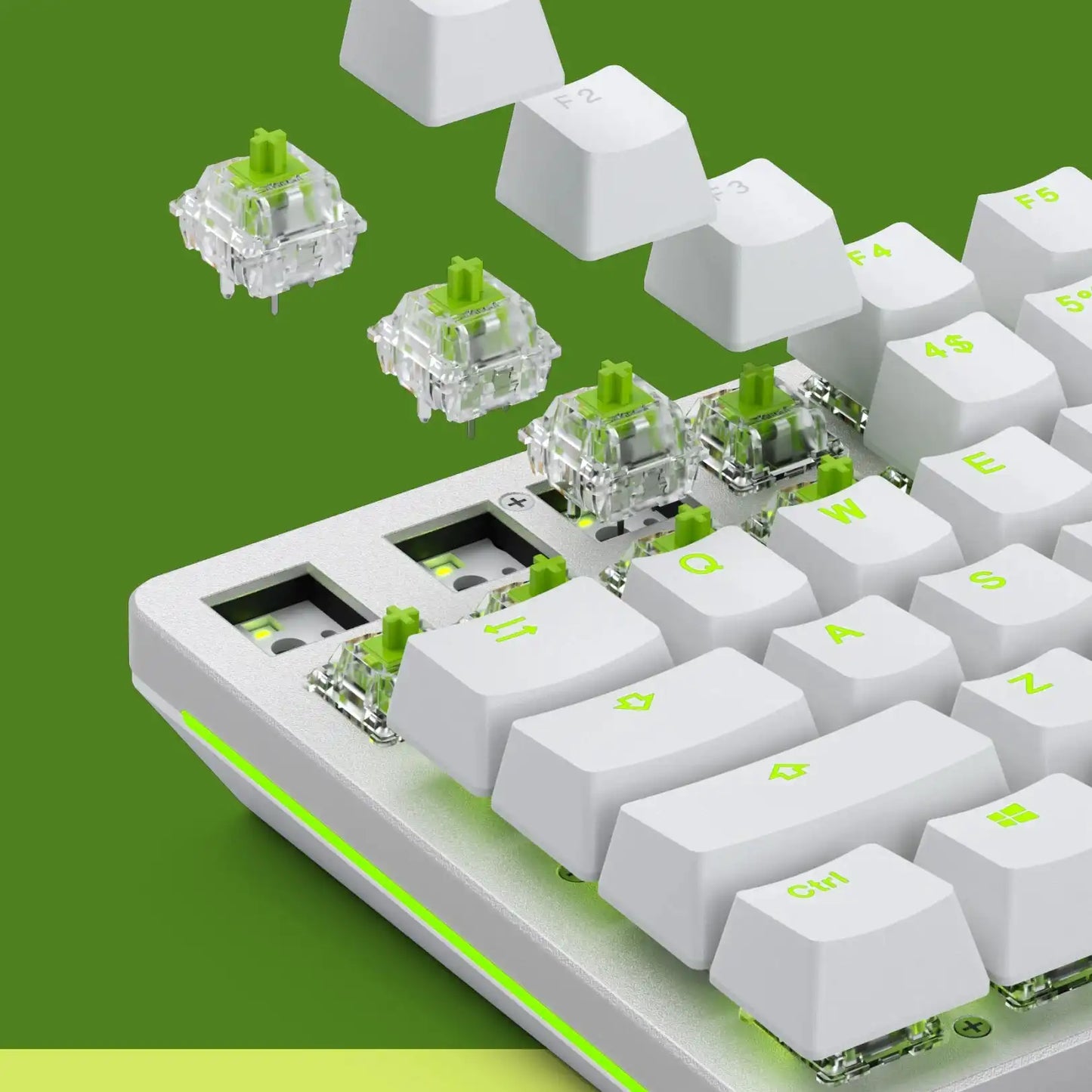 Raptor MX Switches