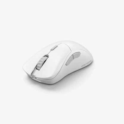 Model D 2 PRO Series Wireless Mouse 4K/8KHz Edition
