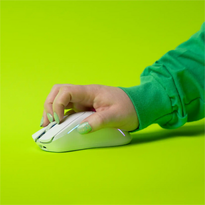 Model D 2 Wireless Mouse